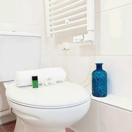 Stylish Near The Tuileries Gardens Apartment